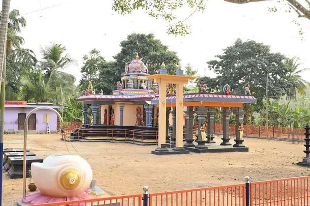 Main Image